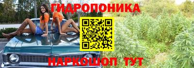 Альфа ПВП Ипатово