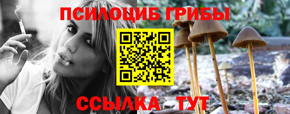 Псилоцибиновые грибы Cubensis Челябинск